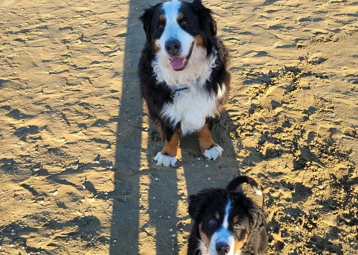 Ampio Bilocale Lungomare Levante Caorle